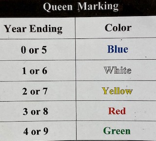 International Color Code