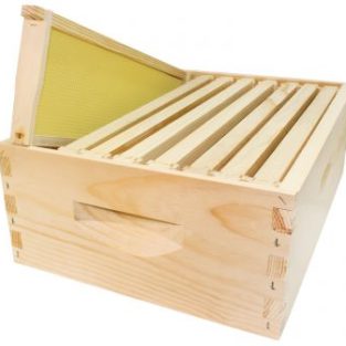 Medium Box with Frames & Foundation, Assembled