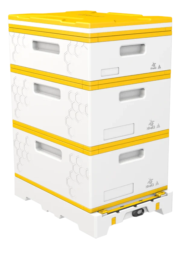 Hive iQ Hive kit