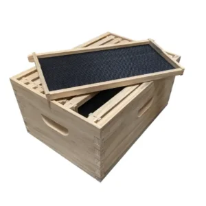 Assembled Wood Frames With Foundation (6 1/4") Medium